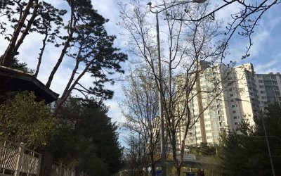 숲속마을7단지 주공아파트