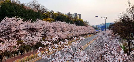 view_01
