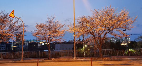 view_04
