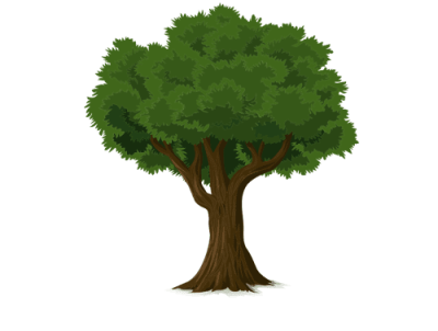 tree